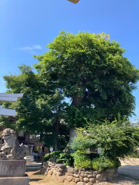 香取駒形神社(千葉県)