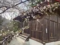 貴布禰神社(東京都)