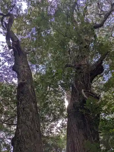 牛庭神社(三重県)