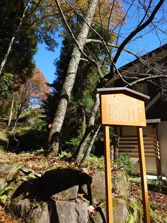 戸隠神社火之御子社(長野県)