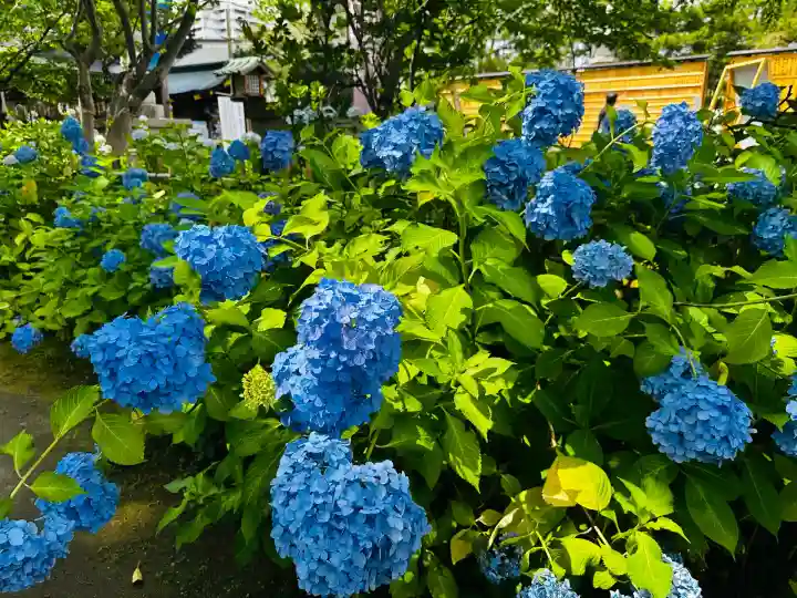 白山神社(新潟県)