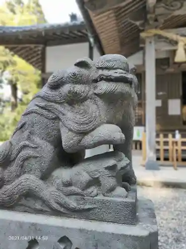 縣神社の狛犬