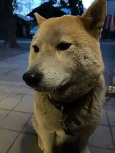 笠䅣稲荷神社(神奈川県)