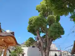 八幡神社(大阪府)