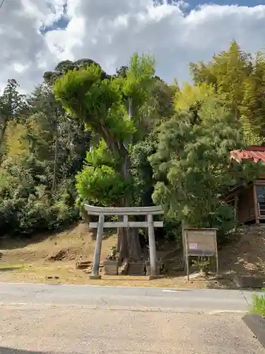 熊野神社の鳥居