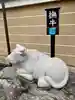 壬生寺の狛犬