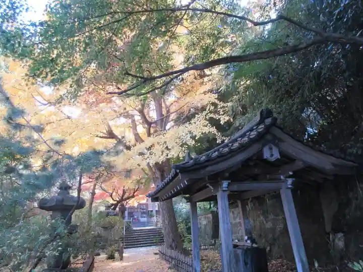 安國論寺(安国論寺)の自然