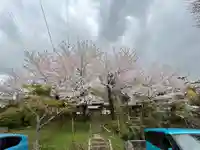 成田山神護寺(埼玉県)