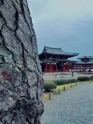 平等院(京都府)