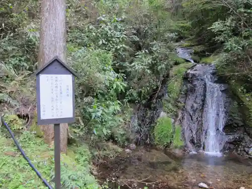 二上神社の自然