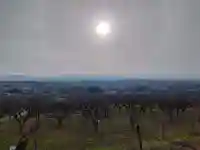 九社神社の{uncategorized: "未分類", other: "その他", undefined: "問題あり", building: "その他建物", grave: "お墓", sacred_gate: "鳥居", guardian: "狛犬", statue: "像", buddha: "仏像", history: "歴史", nature: "自然", garden: "庭園", animal: "動物", pagoda: "塔", temizu: "手水舎", mountain_gate: "山門・神門", sanctuary: "本殿・本堂", subordinate: "末社・摂社", art: "芸術", scenery: "景色", jizo: "地蔵", ema: "絵馬", goshuin: "御朱印", omikuji: "おみくじ", items: "授与品その他", amulet: "お守り", goshuincho: "御朱印帳", eats: "食事", festival: "お祭り", votive_dance: "神楽", shichigosan: "七五三参", wedding: "結婚式", experience: "体験その他", initially: "初詣", around: "周辺", anti_infection: "感染症対策"}