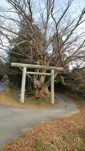 雨引千勝神社の自然