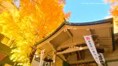 銀杏岡八幡神社(東京都)