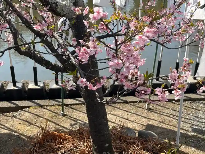 旗上弁財天社の自然