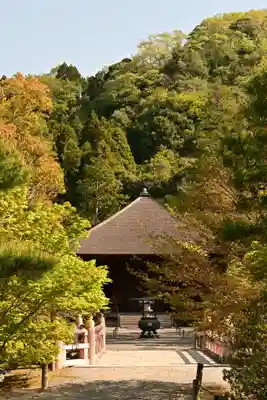 白水阿弥陀堂の本殿・本堂