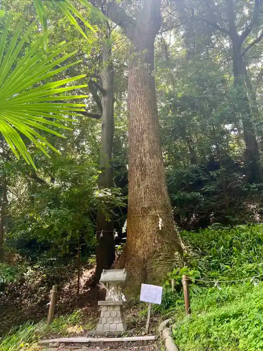 八幡神社(静岡県)