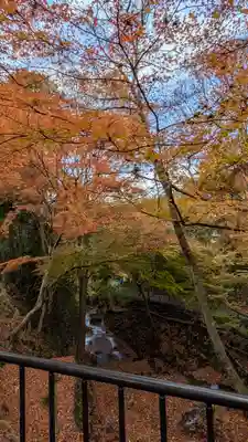 勝手神社(京都府)
