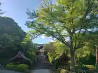 護国寺(東京都)