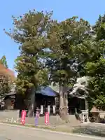 高司神社〜むすびの神の鎮まる社〜(福島県)