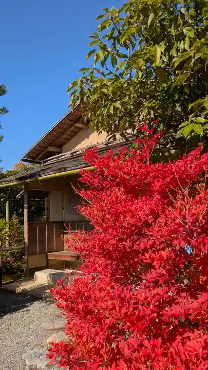 光悦寺(京都府)
