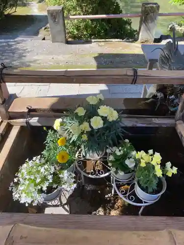 津島神社(愛知県)