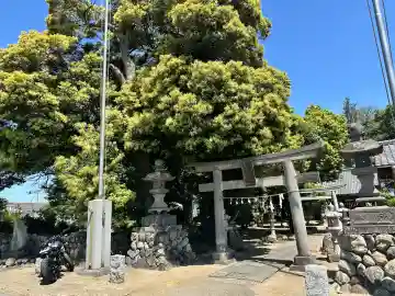 七社神社(埼玉県)