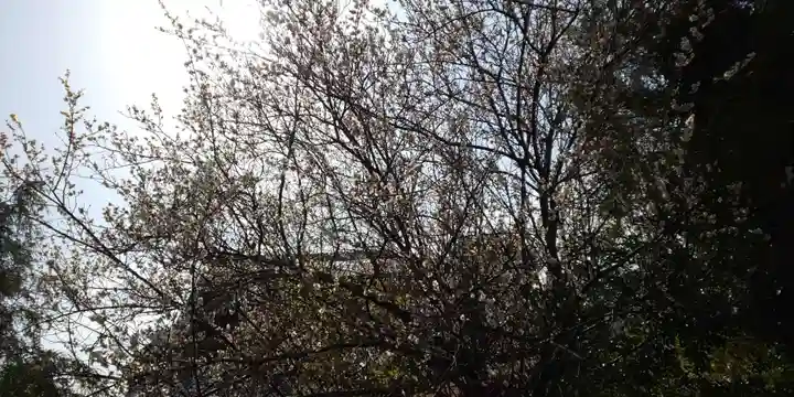 出雲大神宮のその他建物