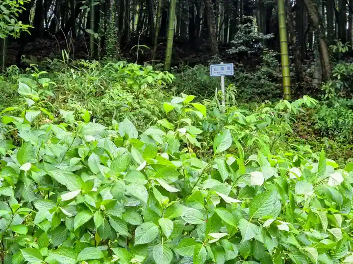 白狐稲荷神社(山口県)