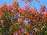 俵山八幡宮(山口県)