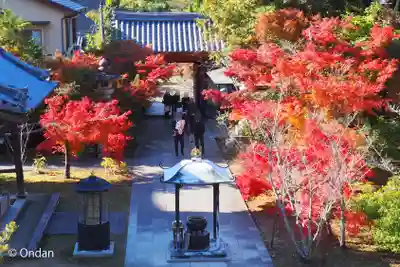 太山寺(兵庫県)