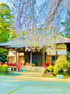 南光寺(笠懸不動尊)の{uncategorized: "未分類", other: "その他", undefined: "問題あり", building: "その他建物", grave: "お墓", sacred_gate: "鳥居", guardian: "狛犬", statue: "像", buddha: "仏像", history: "歴史", nature: "自然", garden: "庭園", animal: "動物", pagoda: "塔", temizu: "手水舎", mountain_gate: "山門・神門", sanctuary: "本殿・本堂", subordinate: "末社・摂社", art: "芸術", scenery: "景色", jizo: "地蔵", ema: "絵馬", goshuin: "御朱印", omikuji: "おみくじ", items: "授与品その他", amulet: "お守り", goshuincho: "御朱印帳", eats: "食事", festival: "お祭り", votive_dance: "神楽", shichigosan: "七五三参", wedding: "結婚式", experience: "体験その他", initially: "初詣", around: "周辺", anti_infection: "感染症対策"}