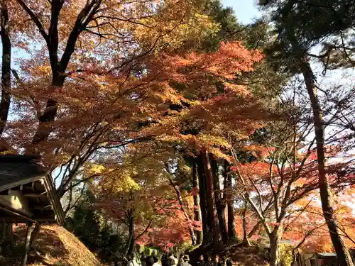 中尊寺の景色