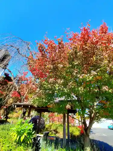 萬寿神社の自然