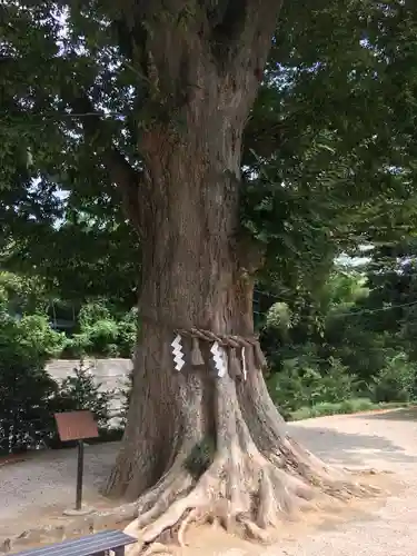 素鵞神社の自然