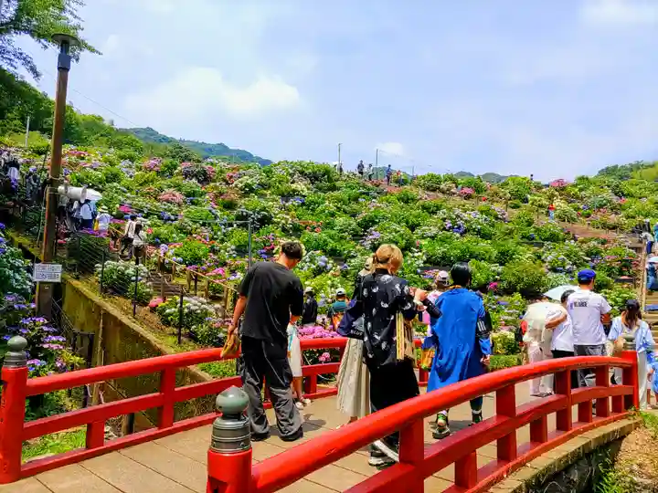 補陀寺の周辺