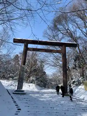 北海道神宮の鳥居