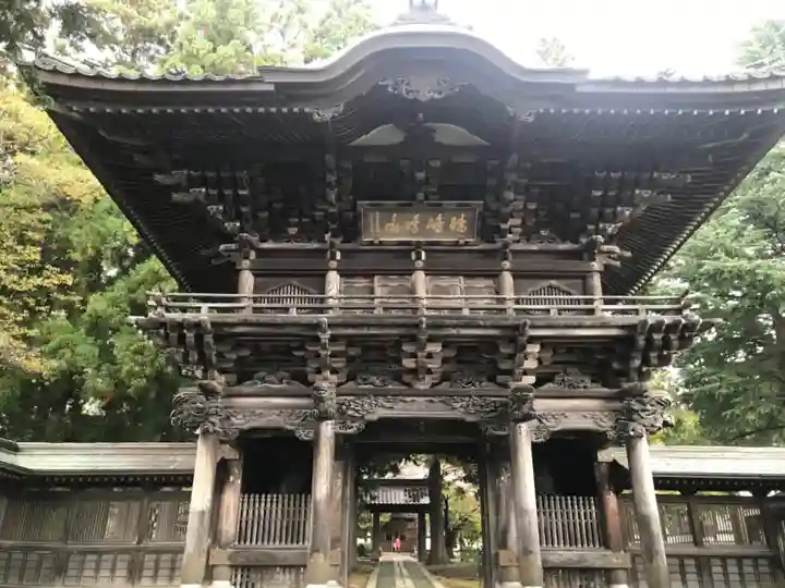 報恩寺の山門・神門