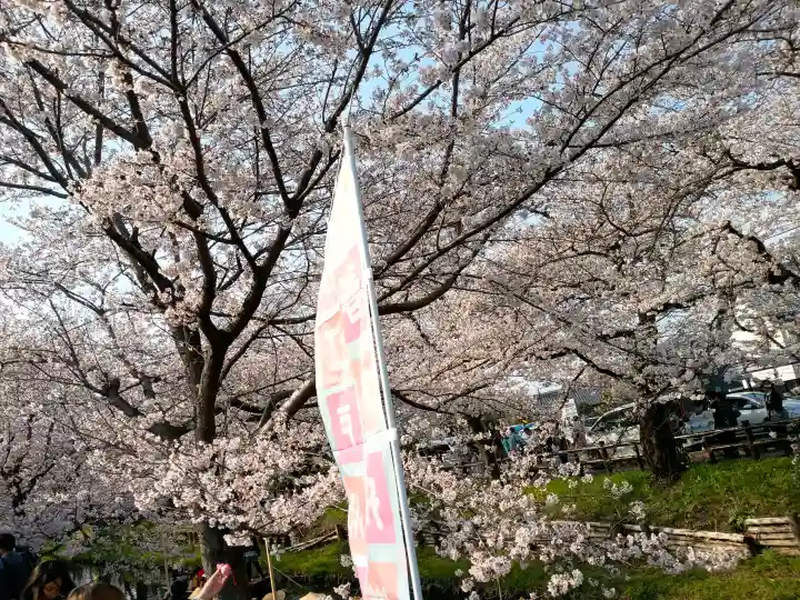 川越氷川神社の{uncategorized: "未分類", other: "その他", undefined: "問題あり", building: "その他建物", grave: "お墓", sacred_gate: "鳥居", guardian: "狛犬", statue: "像", buddha: "仏像", history: "歴史", nature: "自然", garden: "庭園", animal: "動物", pagoda: "塔", temizu: "手水舎", mountain_gate: "山門・神門", sanctuary: "本殿・本堂", subordinate: "末社・摂社", art: "芸術", scenery: "景色", jizo: "地蔵", ema: "絵馬", goshuin: "御朱印", omikuji: "おみくじ", items: "授与品その他", amulet: "お守り", goshuincho: "御朱印帳", eats: "食事", festival: "お祭り", votive_dance: "神楽", shichigosan: "七五三参", wedding: "結婚式", experience: "体験その他", initially: "初詣", around: "周辺", anti_infection: "感染症対策"}