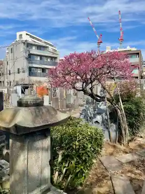 西念寺(東京都)