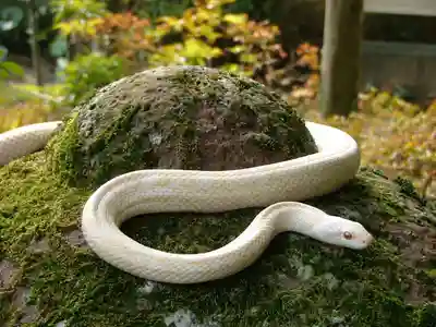 金蛇水神社(宮城県)