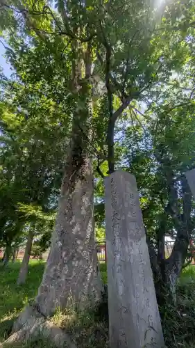大前神社の{uncategorized: "未分類", other: "その他", undefined: "問題あり", building: "その他建物", grave: "お墓", sacred_gate: "鳥居", guardian: "狛犬", statue: "像", buddha: "仏像", history: "歴史", nature: "自然", garden: "庭園", animal: "動物", pagoda: "塔", temizu: "手水舎", mountain_gate: "山門・神門", sanctuary: "本殿・本堂", subordinate: "末社・摂社", art: "芸術", scenery: "景色", jizo: "地蔵", ema: "絵馬", goshuin: "御朱印", omikuji: "おみくじ", items: "授与品その他", amulet: "お守り", goshuincho: "御朱印帳", eats: "食事", festival: "お祭り", votive_dance: "神楽", shichigosan: "七五三参", wedding: "結婚式", experience: "体験その他", initially: "初詣", around: "周辺", anti_infection: "感染症対策"}