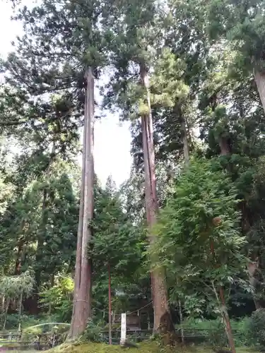 粟鹿神社(兵庫県)