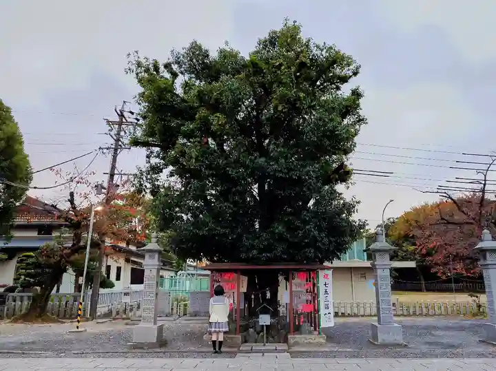 白山神社(二子町)の自然