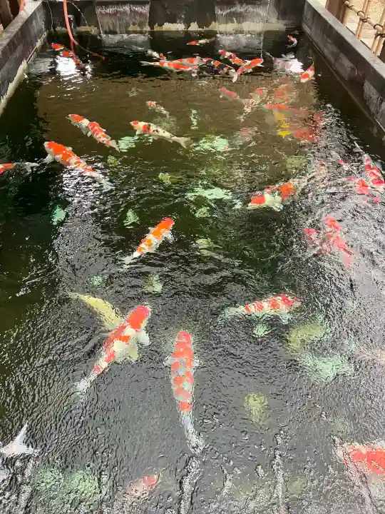 感通寺の{uncategorized: "未分類", other: "その他", undefined: "問題あり", building: "その他建物", grave: "お墓", sacred_gate: "鳥居", guardian: "狛犬", statue: "像", buddha: "仏像", history: "歴史", nature: "自然", garden: "庭園", animal: "動物", pagoda: "塔", temizu: "手水舎", mountain_gate: "山門・神門", sanctuary: "本殿・本堂", subordinate: "末社・摂社", art: "芸術", scenery: "景色", jizo: "地蔵", ema: "絵馬", goshuin: "御朱印", omikuji: "おみくじ", items: "授与品その他", amulet: "お守り", goshuincho: "御朱印帳", eats: "食事", festival: "お祭り", votive_dance: "神楽", shichigosan: "七五三参", wedding: "結婚式", experience: "体験その他", initially: "初詣", around: "周辺", anti_infection: "感染症対策"}