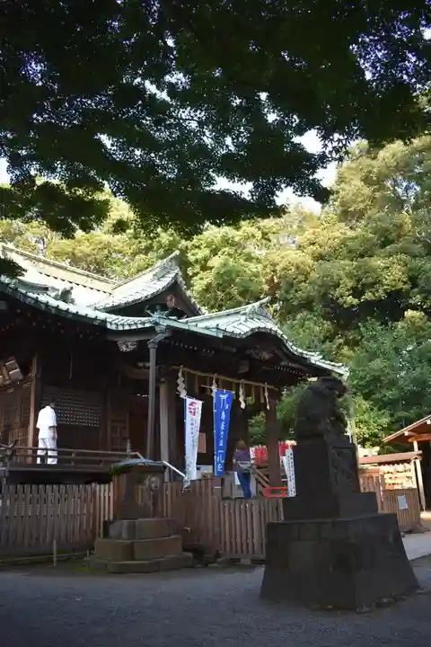 代々木八幡宮の本殿・本堂