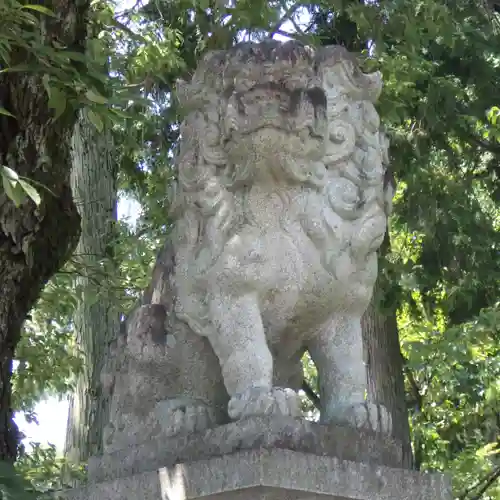 針綱神社の狛犬