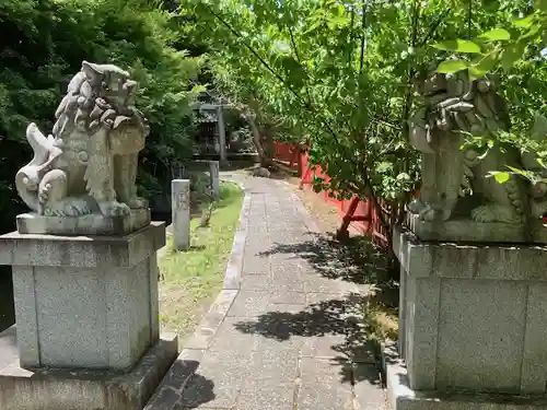 稗田野神社(薭田野神社)(京都府)