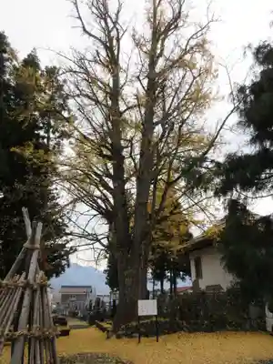 長恩寺のその他建物