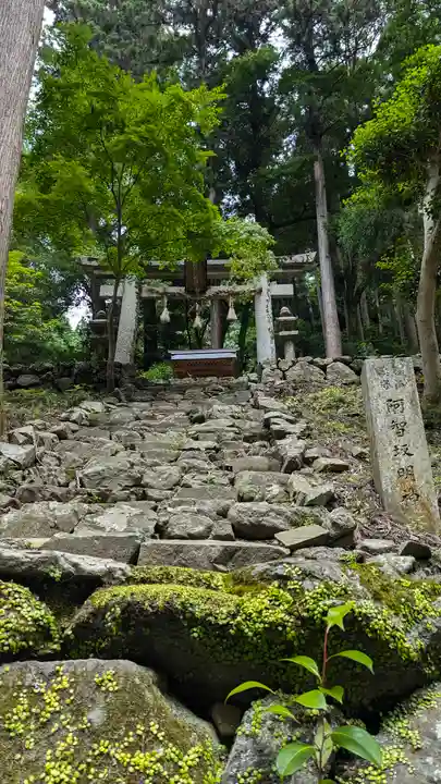 善峯寺(京都府)