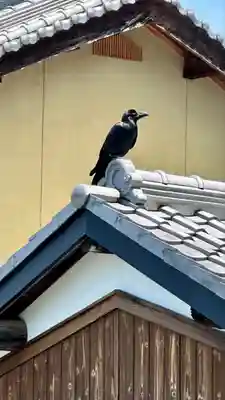 石上神宮(奈良県)